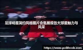 碑稳健验证